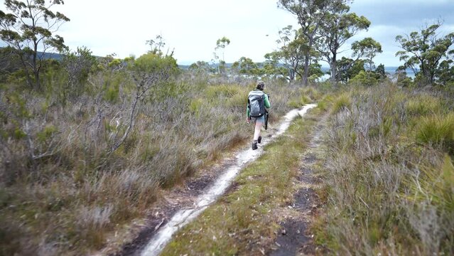 hiking in the bush, doing a bush walk in tasmania, australia