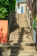 Hidden pathway with cement stairs in urban area with foliage plants and trees in late afternoon shadow