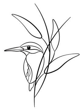 recommend clip art: Bird line art vector