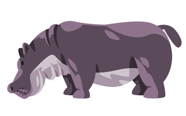 Hippo hippopotamus amphibius big grey african animal illustration in flat cartoon style
