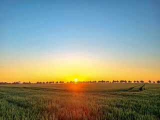 Beautiful sunrise in the field in Wunstorf Germany