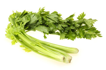 bunch of fresh green parsley