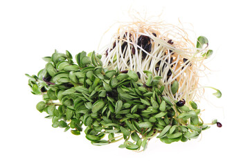 Black bean sprouts on white background