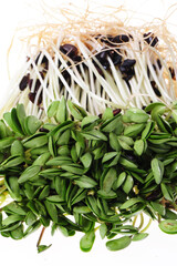 Black bean sprouts on white background