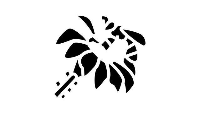 bee spring flower glyph icon animation