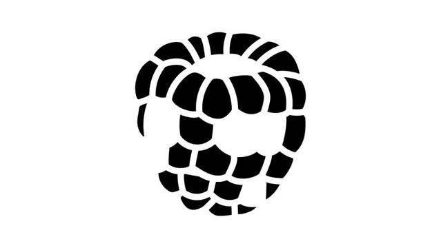 red raspberry ripe fruit glyph icon animation