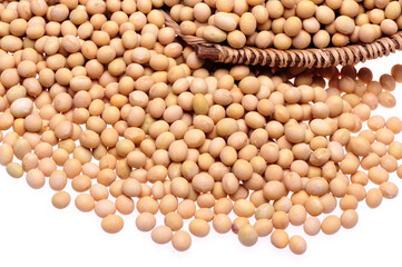 Soybean background