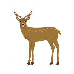 deer vector