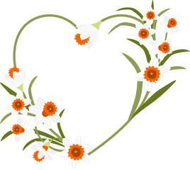 White daffodil flower heart frame. Flat design.