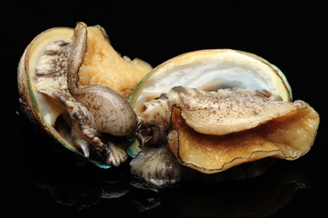 Raw abalones on the black background 