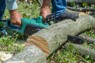 Cord Chainsaw. Close-up of woodcutter sawing chain saw in motion, sawdust fly to sides. Chainsaw in motion. Hard wood working in forest. Sawdust fly around. Firewood processing.