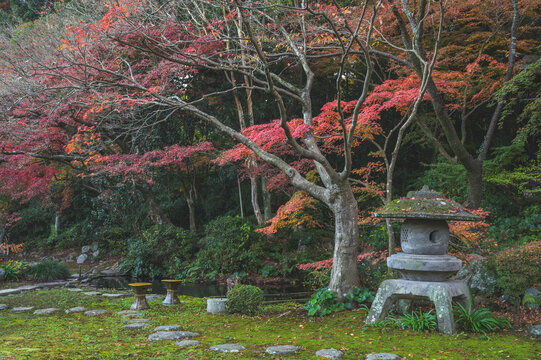 和風庭園images Browse 3 150 Stock Photos Vectors And Video Adobe Stock