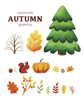 Watercolor autumn trees. hand drawn illustration