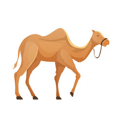 camel in profile on white background vector illustration