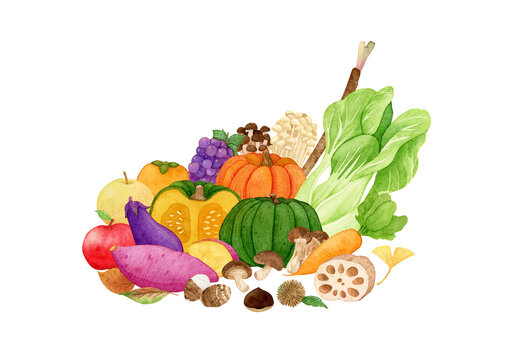 Watercolor Autumn vegetables set. pumpkin, sweet potato, apples, burdock, mushroom, lotus root, carrot and more. Hand drawn illustration