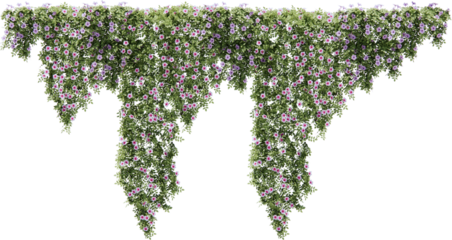 Flower vines cutout