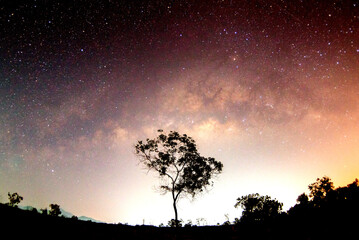 Fototapeta na wymiar Milky way in beautiful nature