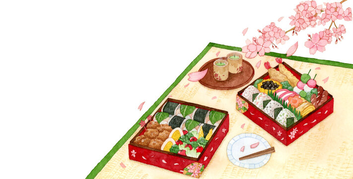 手描き水彩 | お弁当、お重、お花見のイラスト