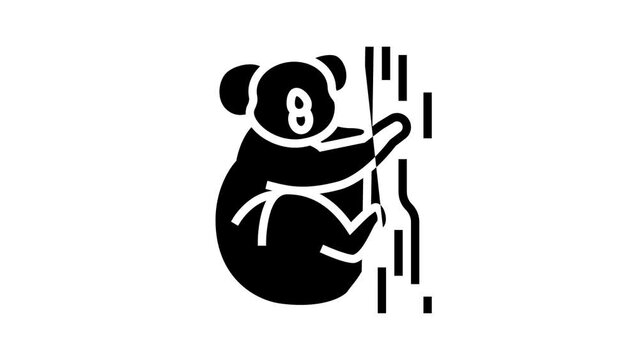 koala animal in zoo line icon animation