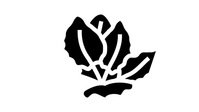 tiger lotus glyph icon animation