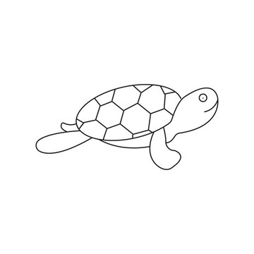  Tortoise animal with shell - vector illustration isolated on white. 