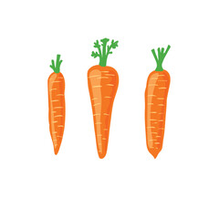 Carrots on white background