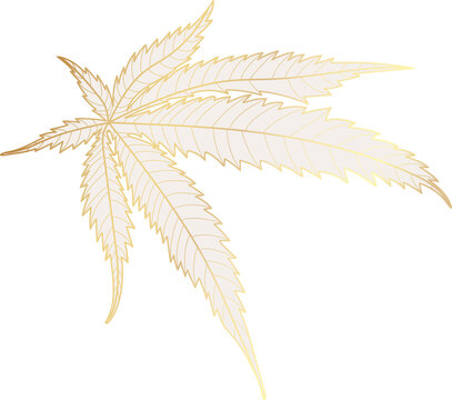 Gold Marijuana Leaf Illustration