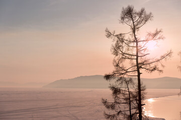 Silhouettes of Trees Against the Backdrop of a Sunset on a Frozen Winter Lake.