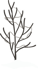 pine stem watercolor illustration