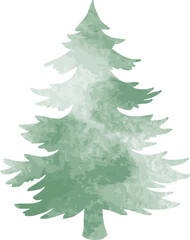 pine watercolor illustration