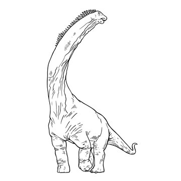 recommend clip art: Brachiosaurus, Dinosaur Sketch Coloring Book