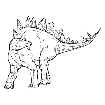 Stegosaurus, Dinosaur Coloring Book