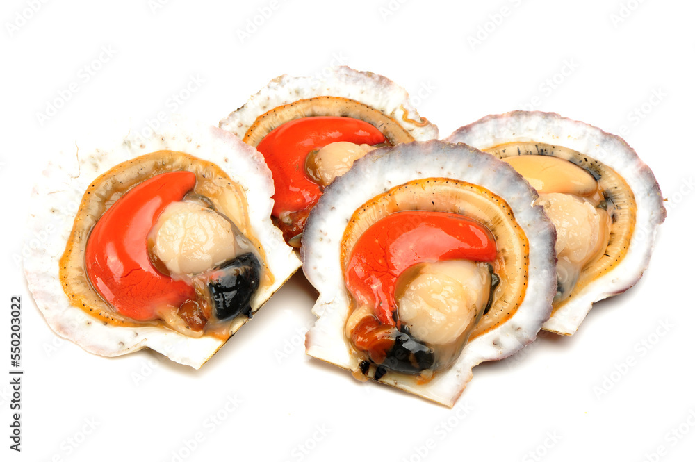 Wall mural Seafood: live scallops (Pecten maximus). Isolated on white background.