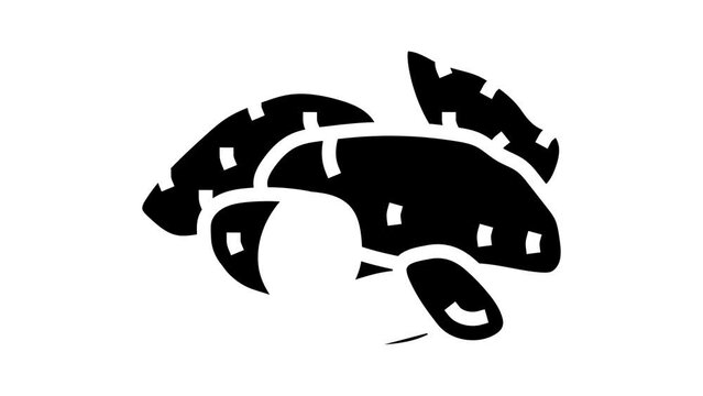 ripe cut potatoes sweet glyph icon animation