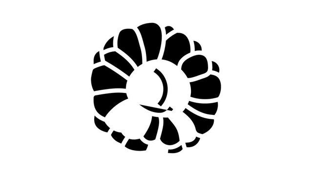 raspberry summer juicy glyph icon animation