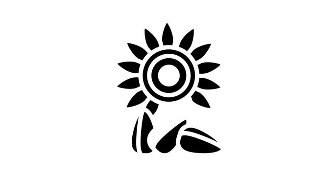 sunflower nut glyph icon animation