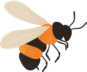 Watercolor honey bee illustration