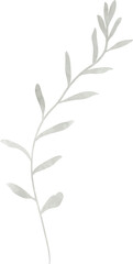 Watercolor leaf branch illustration