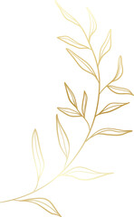 Gold leaf branch illustration