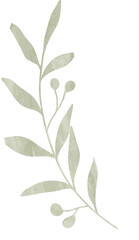 Fototapeta premium Watercolor leaf branch illustration