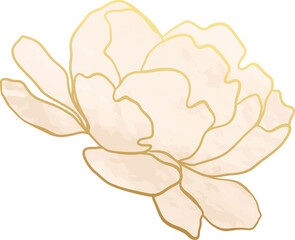 Gold pink rose watercolor illustration