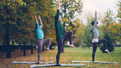 Slender young women are exercising outdoors in park bending forwards and backwards stretching body...