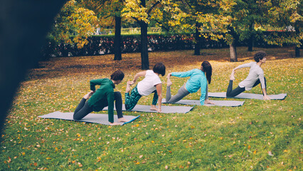 Girls in trendy sportswear are exercising in city park moving from one position into another on yoga mats. Green and yellow grass and autumn trees are visible in park.
