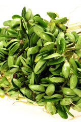 Black bean sprouts on white background