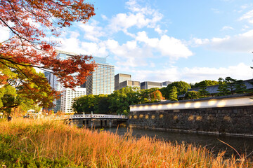 Fototapeta na wymiar 皇居平川門と周辺の紅葉