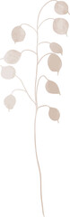 Gold leaf branch illustration