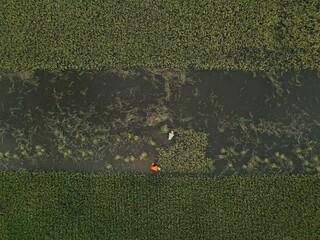 Aerial shot of flooded Area in Taherpur Sunamganj,Bangladesh