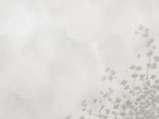 コンクリートの壁に植物の影が映るシンプルな背景