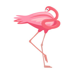 Flamingo cartoon illustration. Beautiful bird standing on one leg. Side view of exotic tropical bird isolated on white