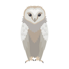 Grey owl cartoon illustration. Predatory bird or beautiful flying creatures isolated on white background